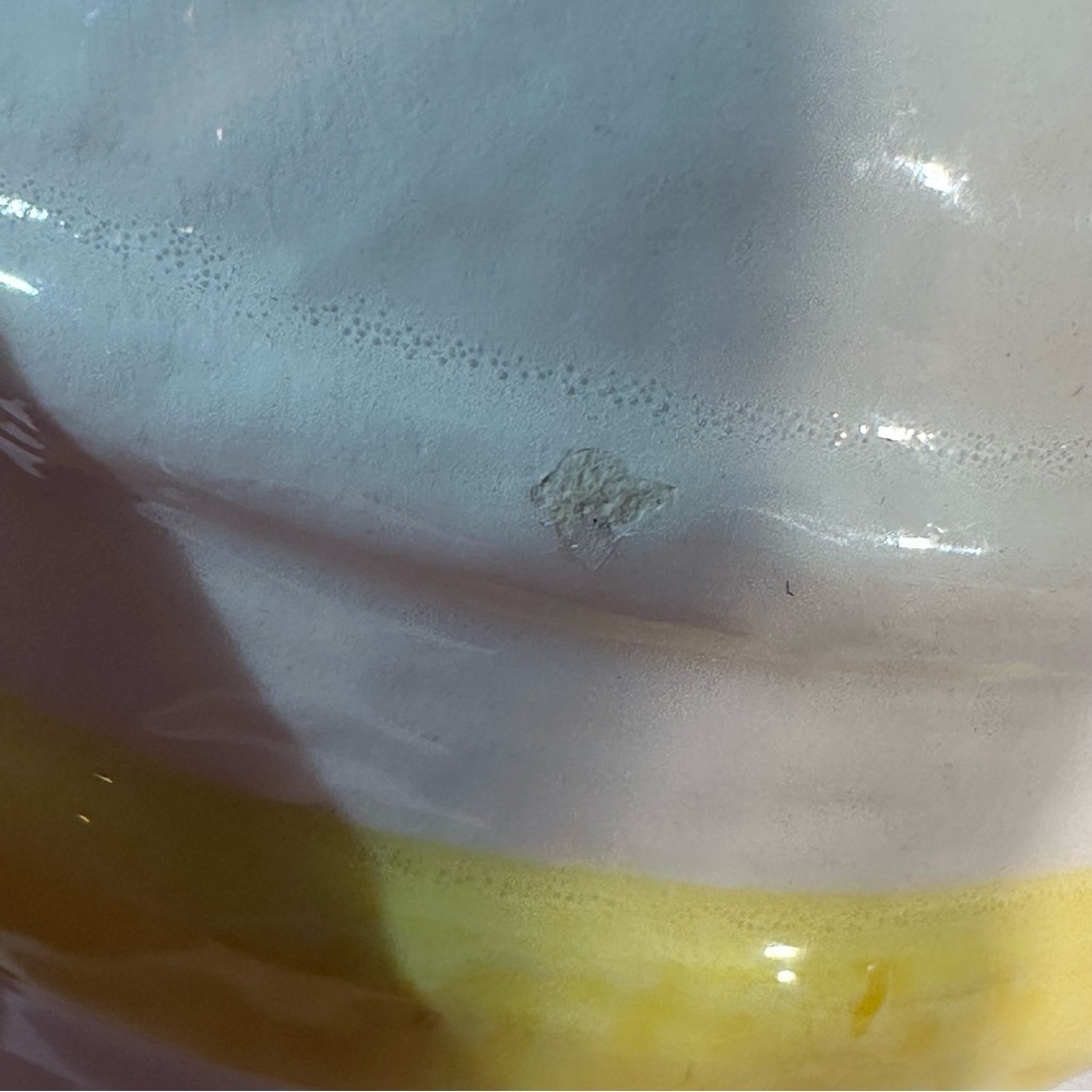 Vintage Sears Roebock & Co Japan Salt & Pepper Shaker 1976/1978?? 4.5” Floral - Picture 10 of 10